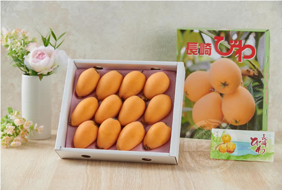 日本長崎縣茂木枇杷禮盒